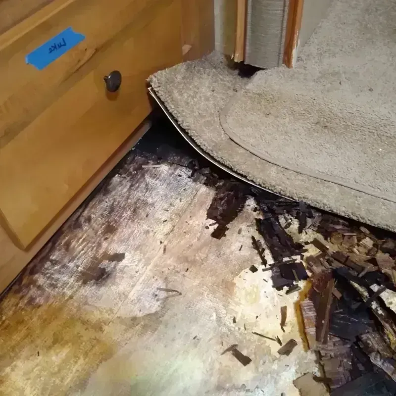 Best Wood Floor Water Damage Service in Monroe County, NY